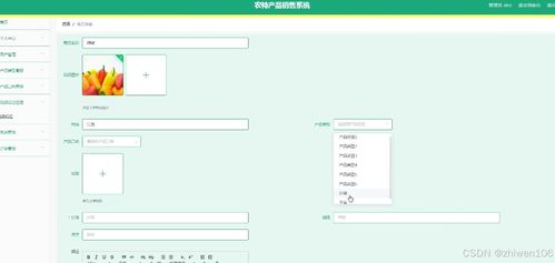 基于Node.js与Vue的农特产品销售系统设计与实现